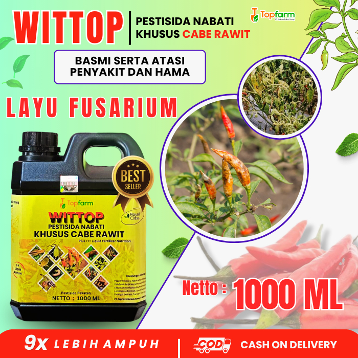 Obat Layu Fusarium Cabe Rawit / Obat Pencegah Layu Fusarium Pada Cabe / Obat Penyakit Cabe / Obat Pe