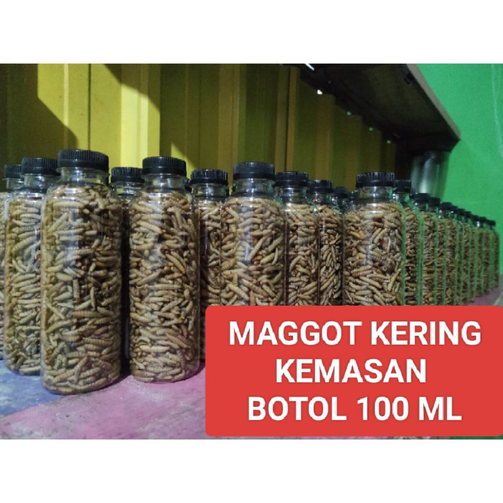 Dried Maggot / Dried Magot / Dry Maggot / Dry Maggot / Kemasan botol 100ml