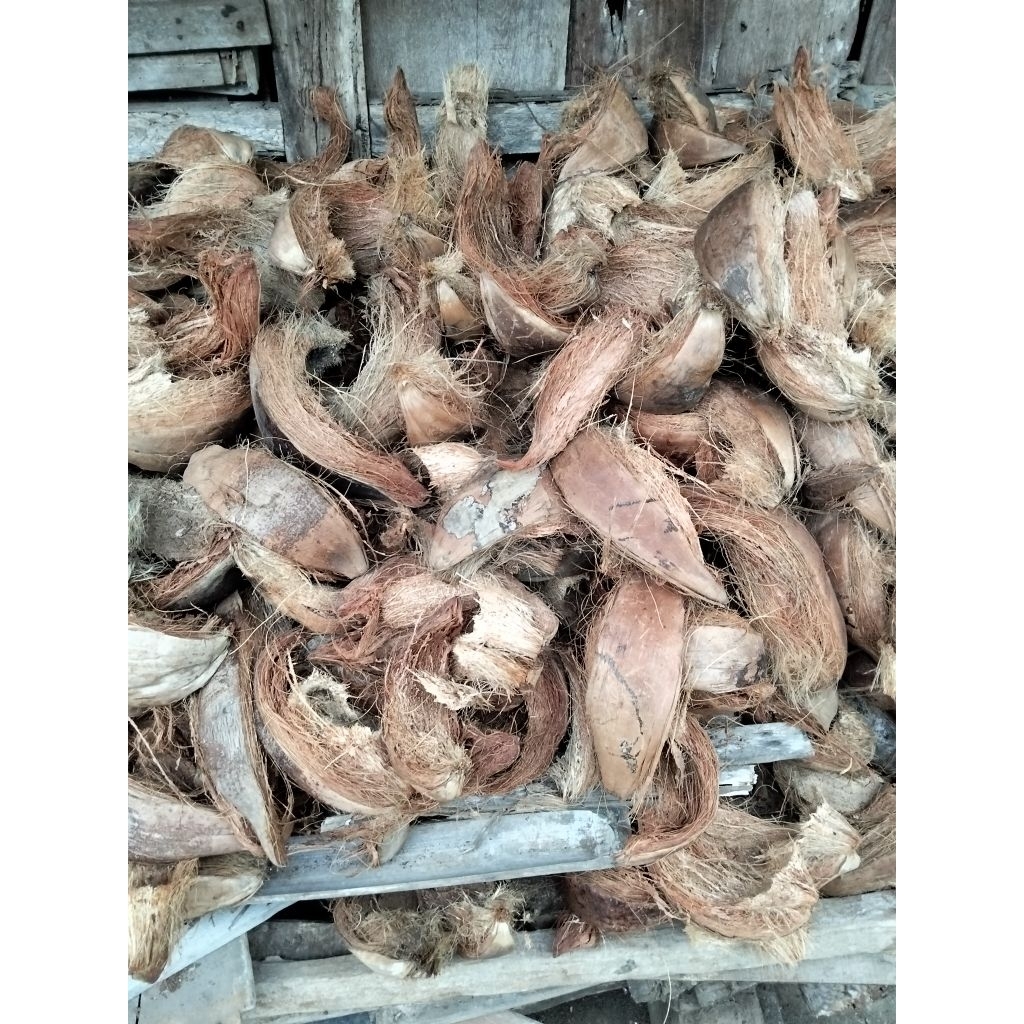 1 kg serabut kelapa kering