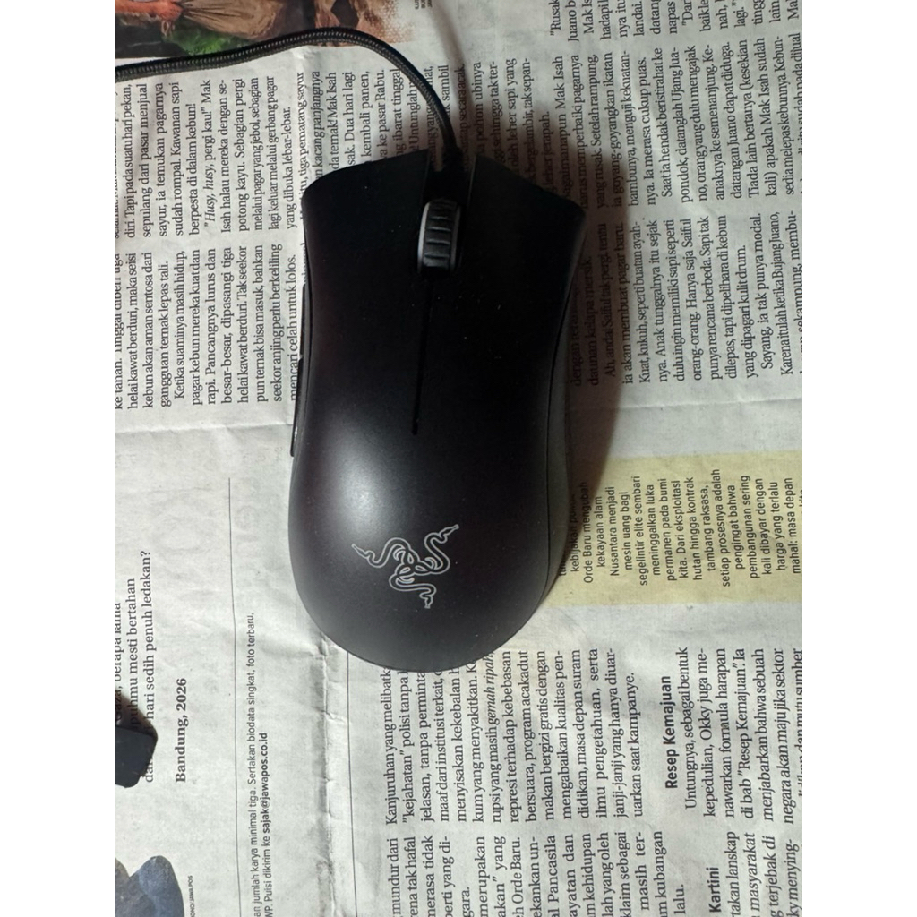 Razer Deathadder essential gaming mouse second