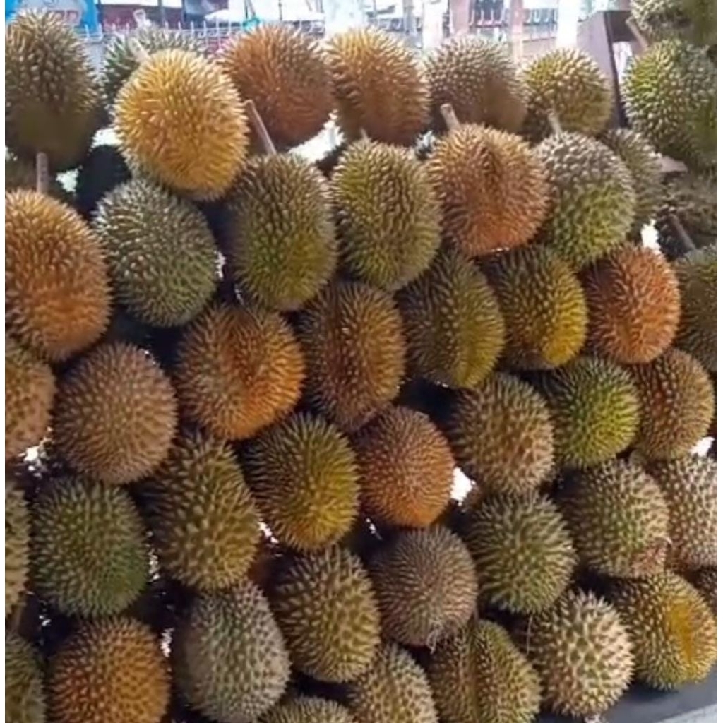 Durian Utuh Lokal