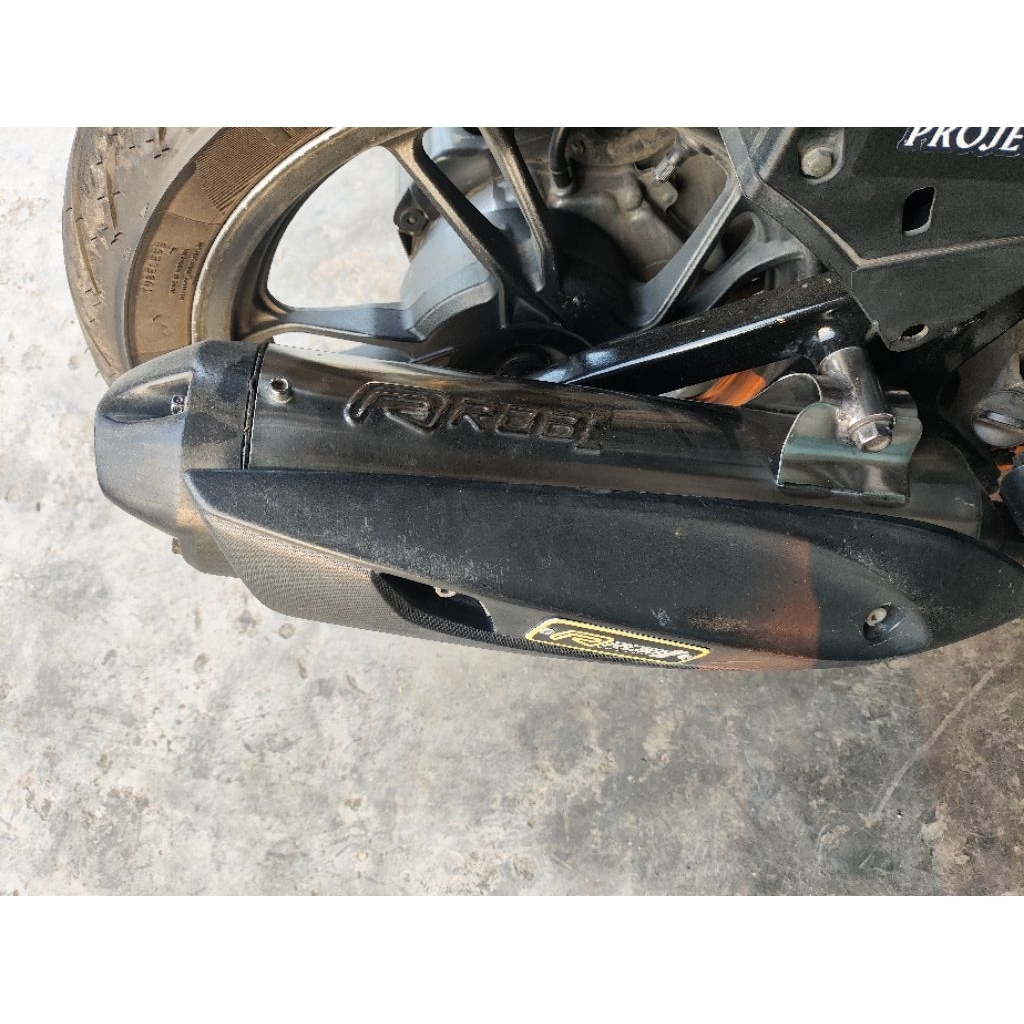 Rob 1 Vario arm old