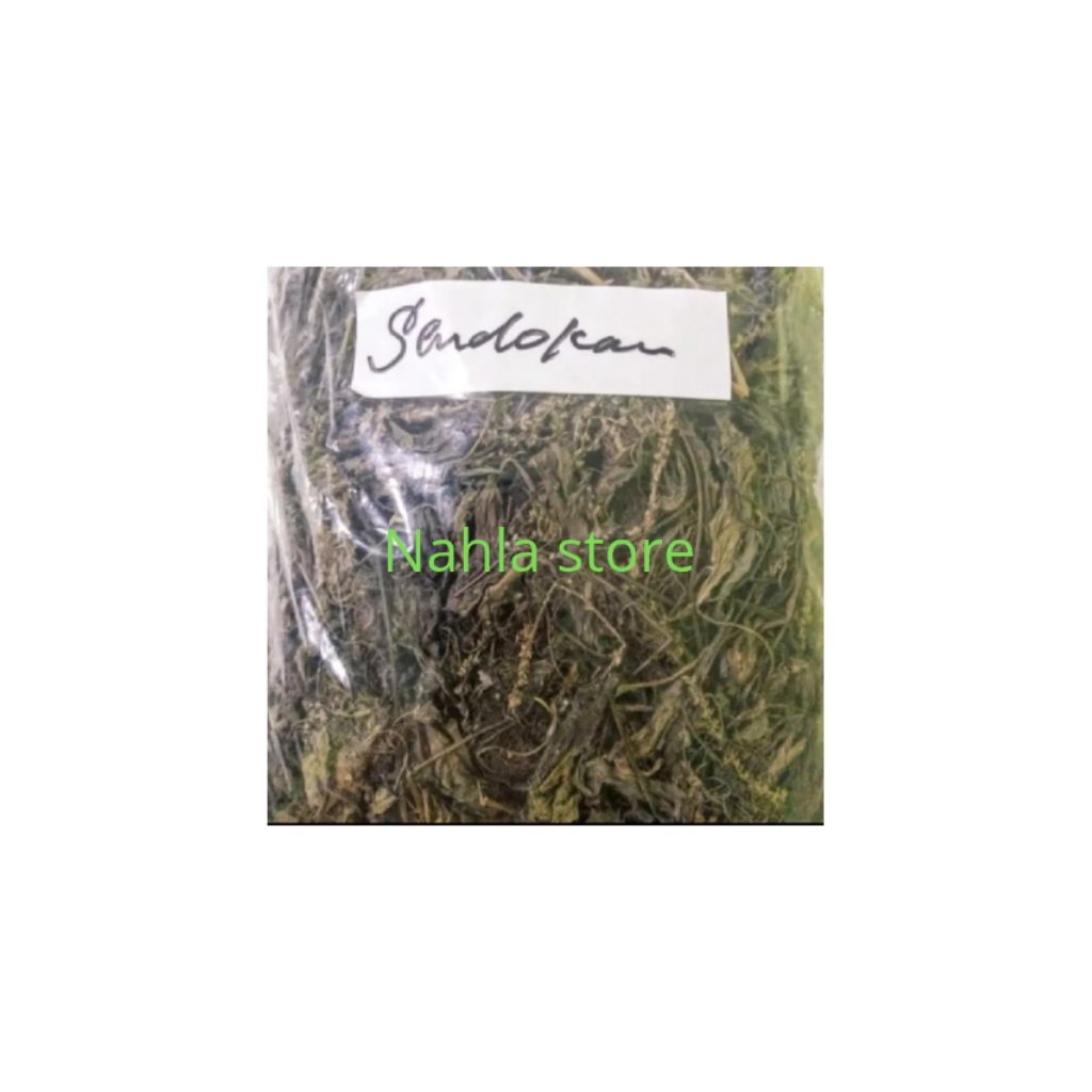 daun ki urat kering daun sendok kering 250 gram