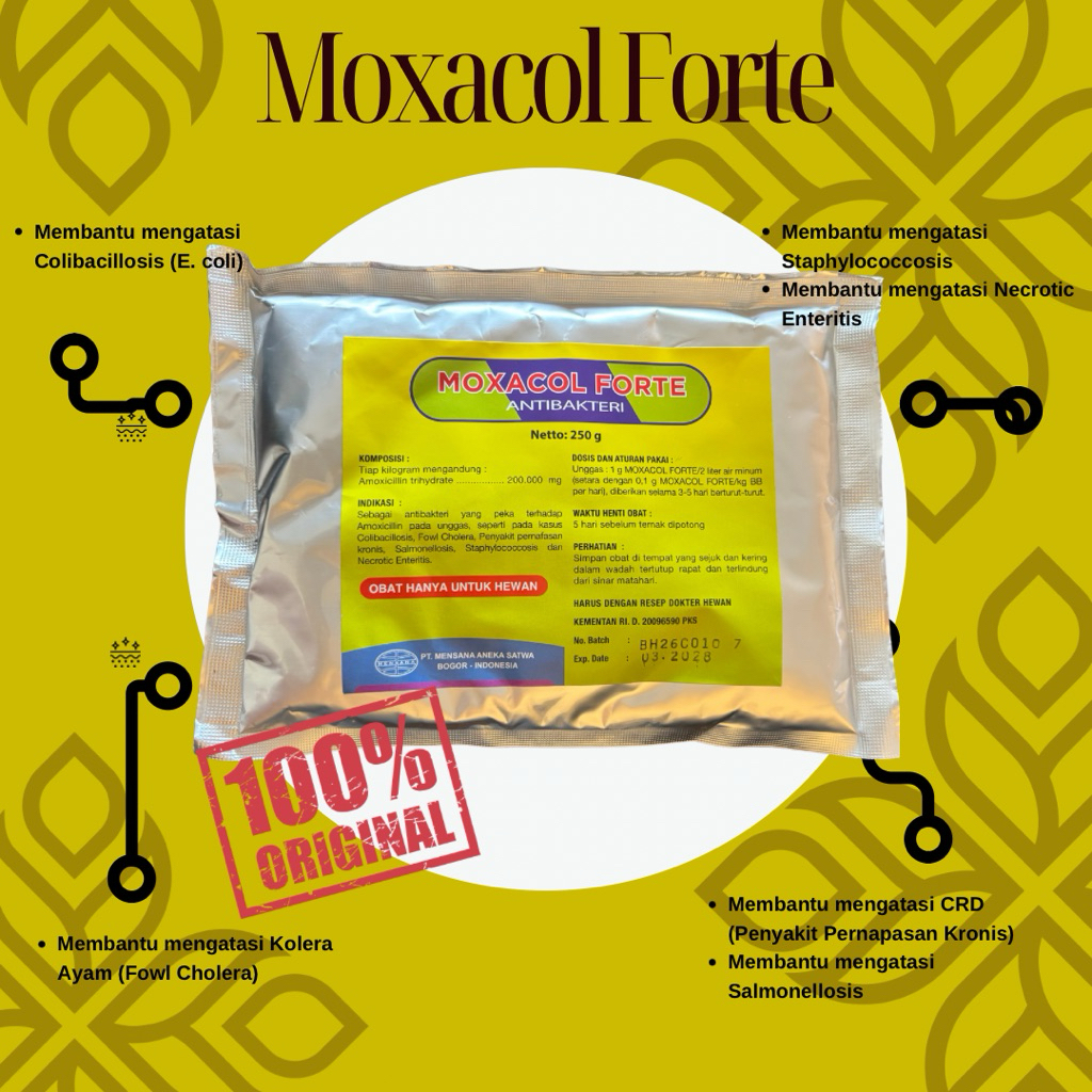 Moxacol Forte 250 Gram Obat Ayam Antibiotik Amoxicillin Colibacillosis Kolera Ayam Salmonellosis