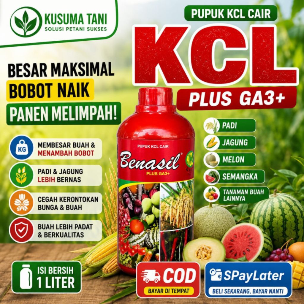 Pupuk KCL Cair Benasil Plus GA3+ 1 Liter | Pembesar Buah Pengkilap Buah Penambah Bobot Buah Padi Jag