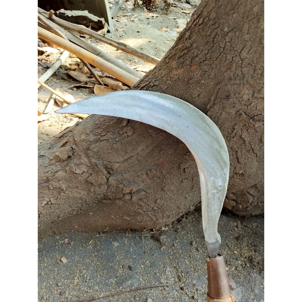Sabit rumput Wonosobo bahan baja