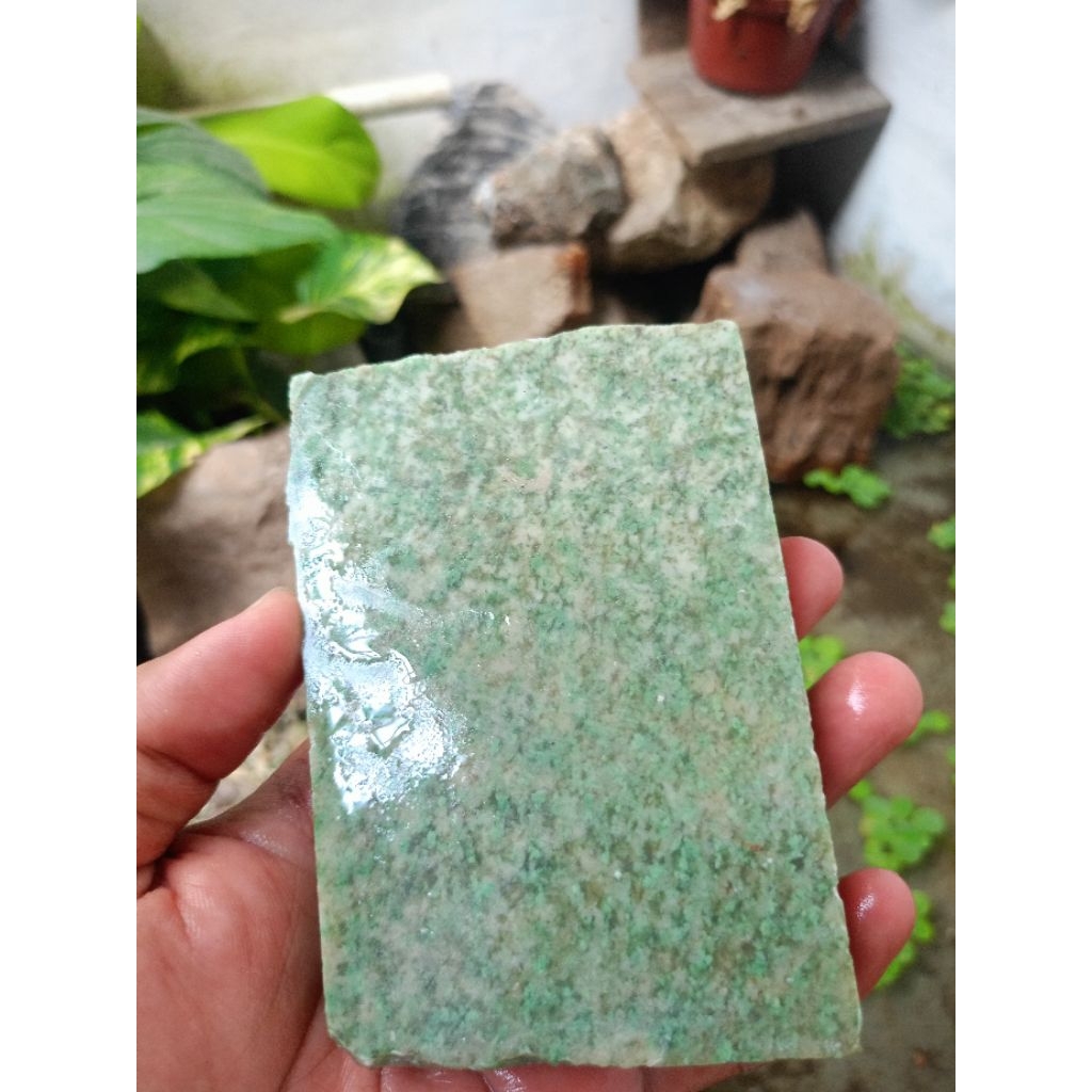 Bahan Giok Netpri Lumut Aceh