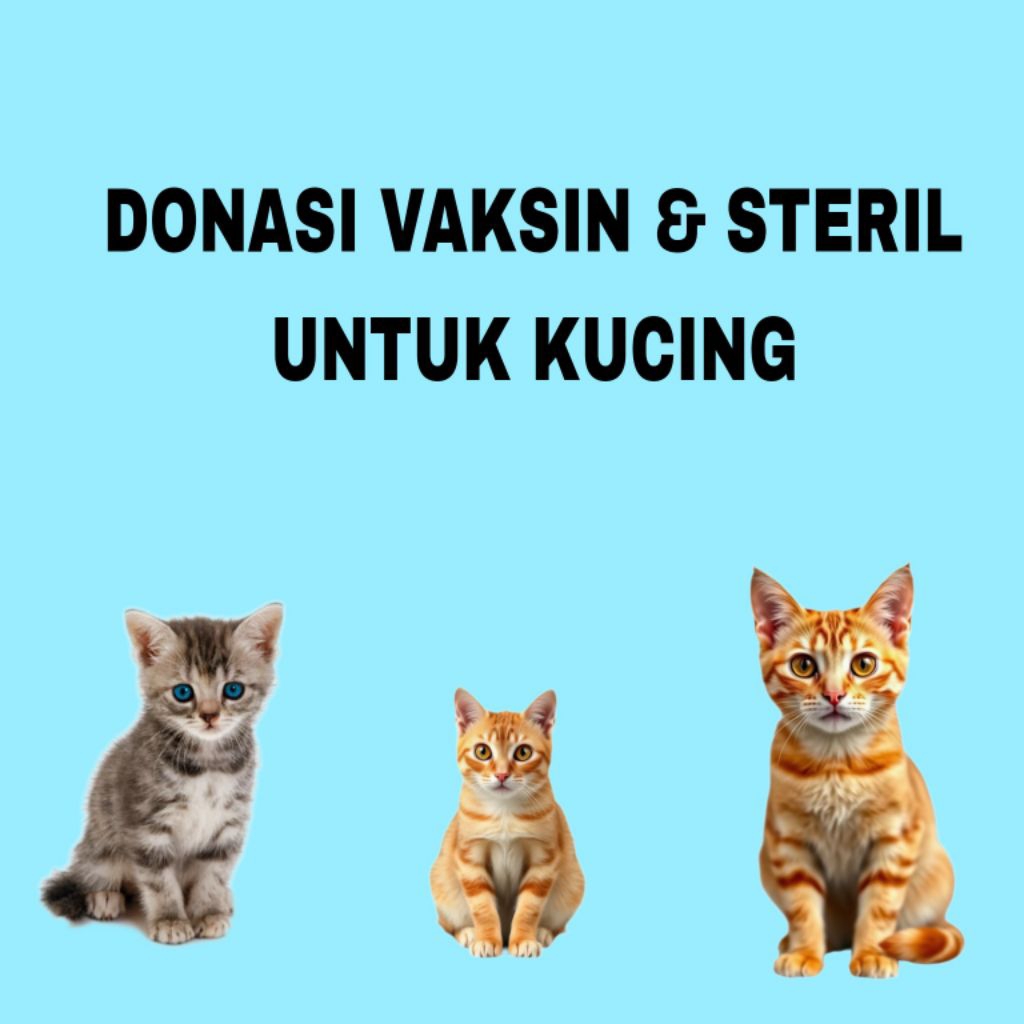 Donasi Vaksin & Steril Kucing