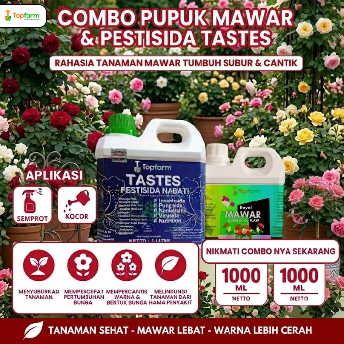 Pupuk Mawar Biar Berbunga Lebat / Pupuk Penyubur Pelebat Bunga Mawar / Nutrisi Tanaman Anti Rontok /