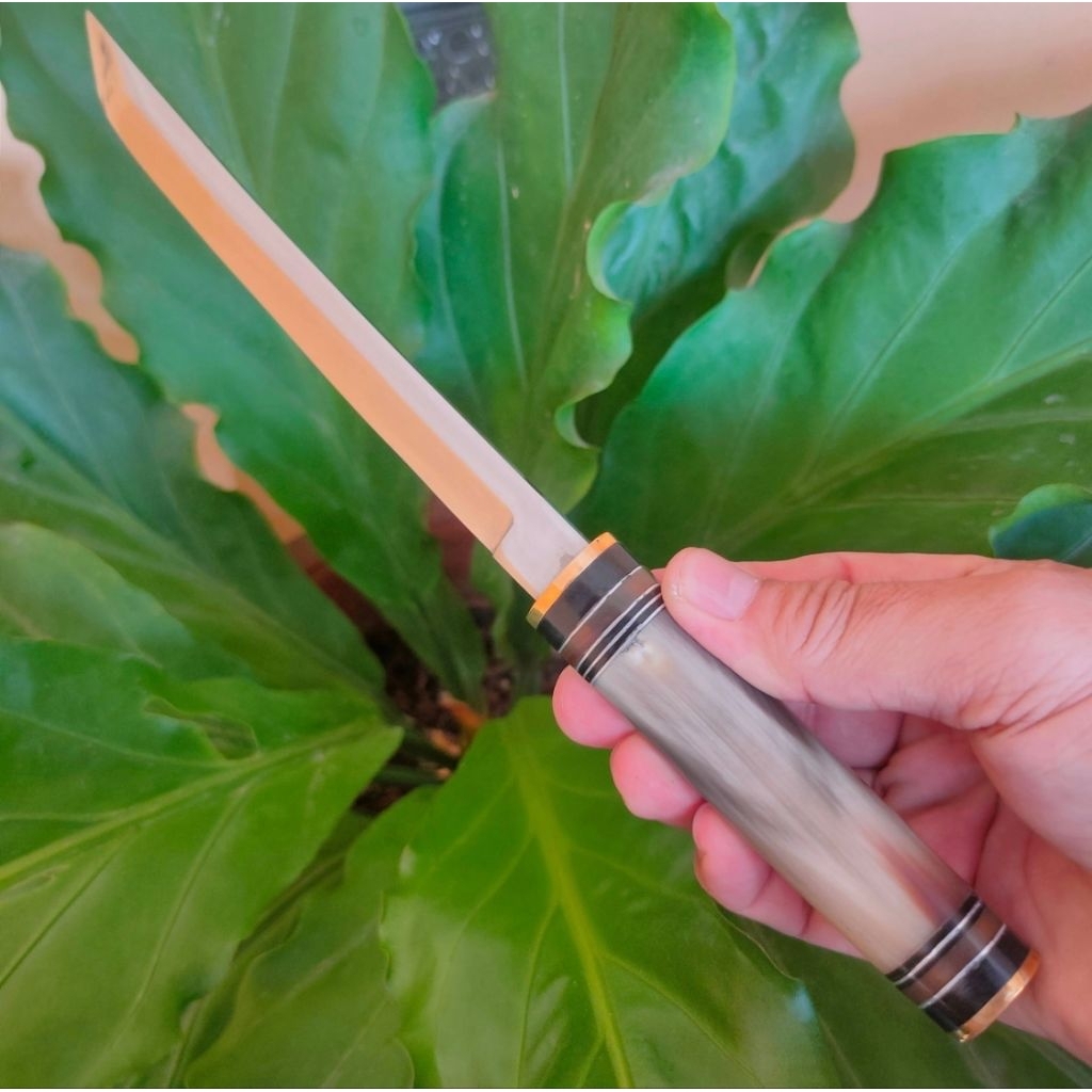 N695 Handmade 17.8cm Japanese Kitchen Tanto knife, Pisau dapur model Tanto full tanduk kerbau bule d