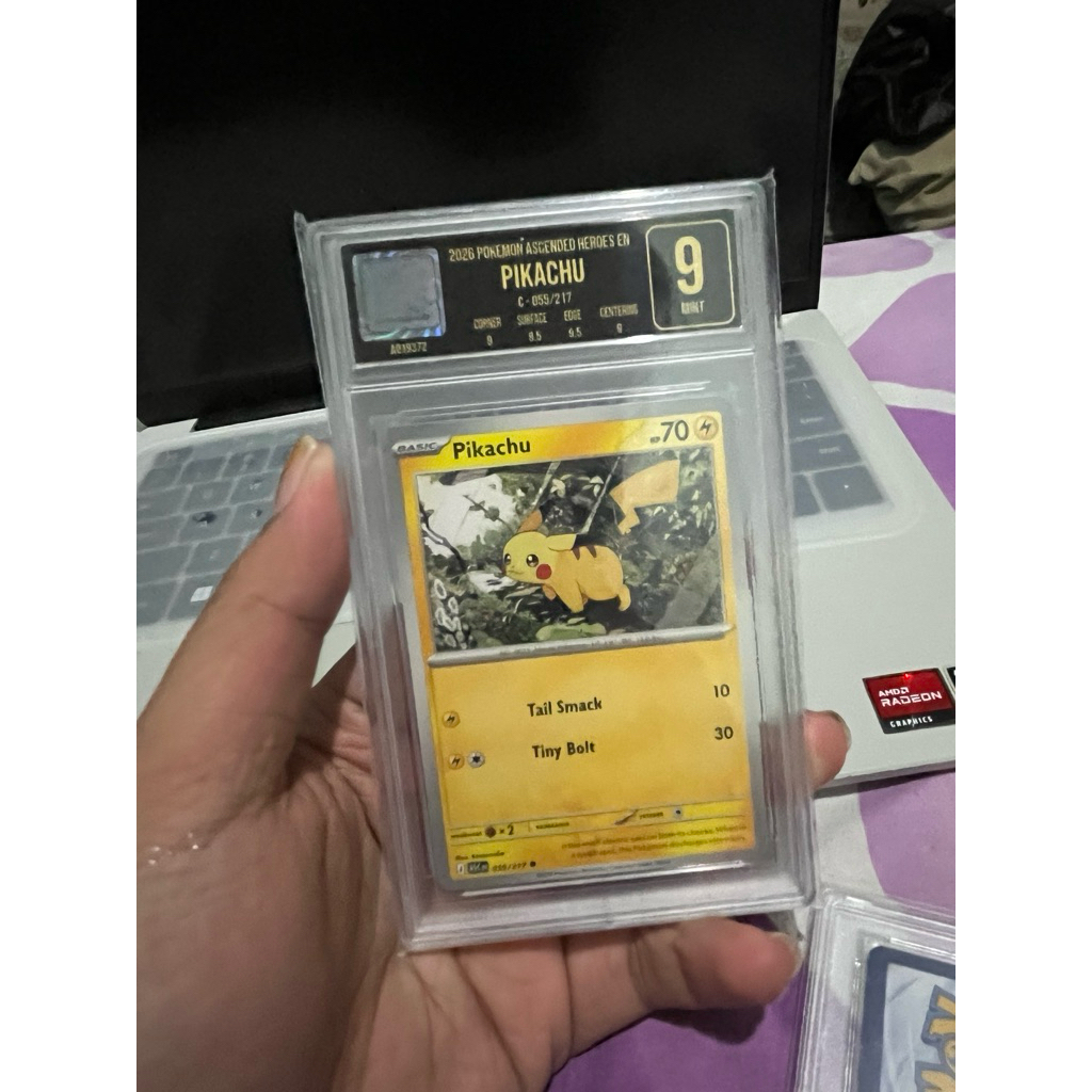 slab egs 9 pokemon pikachu ascended heroes