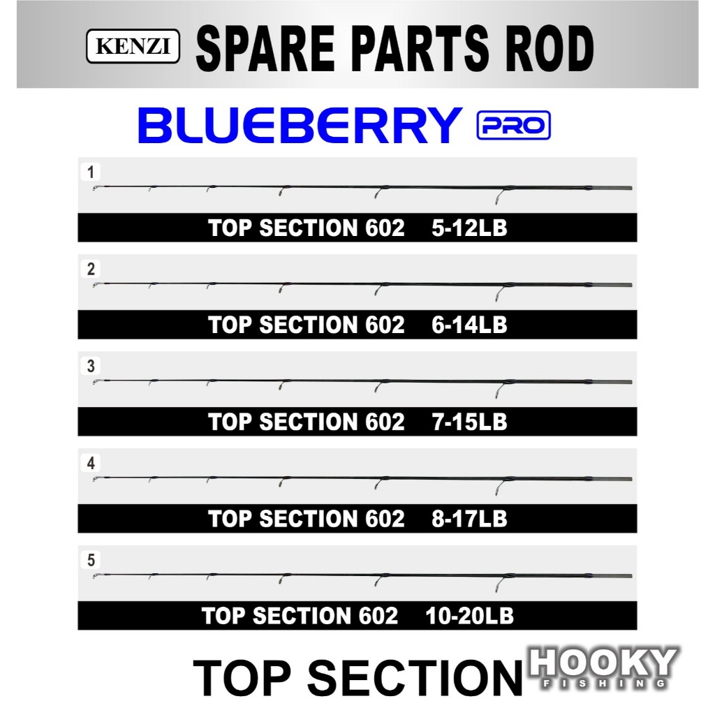 TOP SECTION BLUEBERRY PRO