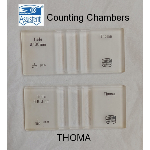 Counting Chambers Assistent THOMA Ruling Lines / Kamar Hitung THOMA / Hemacytometer Thoma
