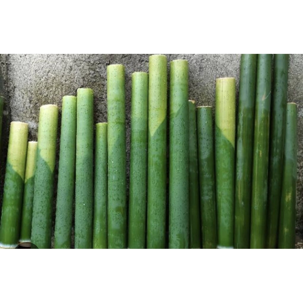 Paket Lemang Nasi Lemang Nasi Leumeung Bambu Lemang Bambu Leumeung + Daun Congkok