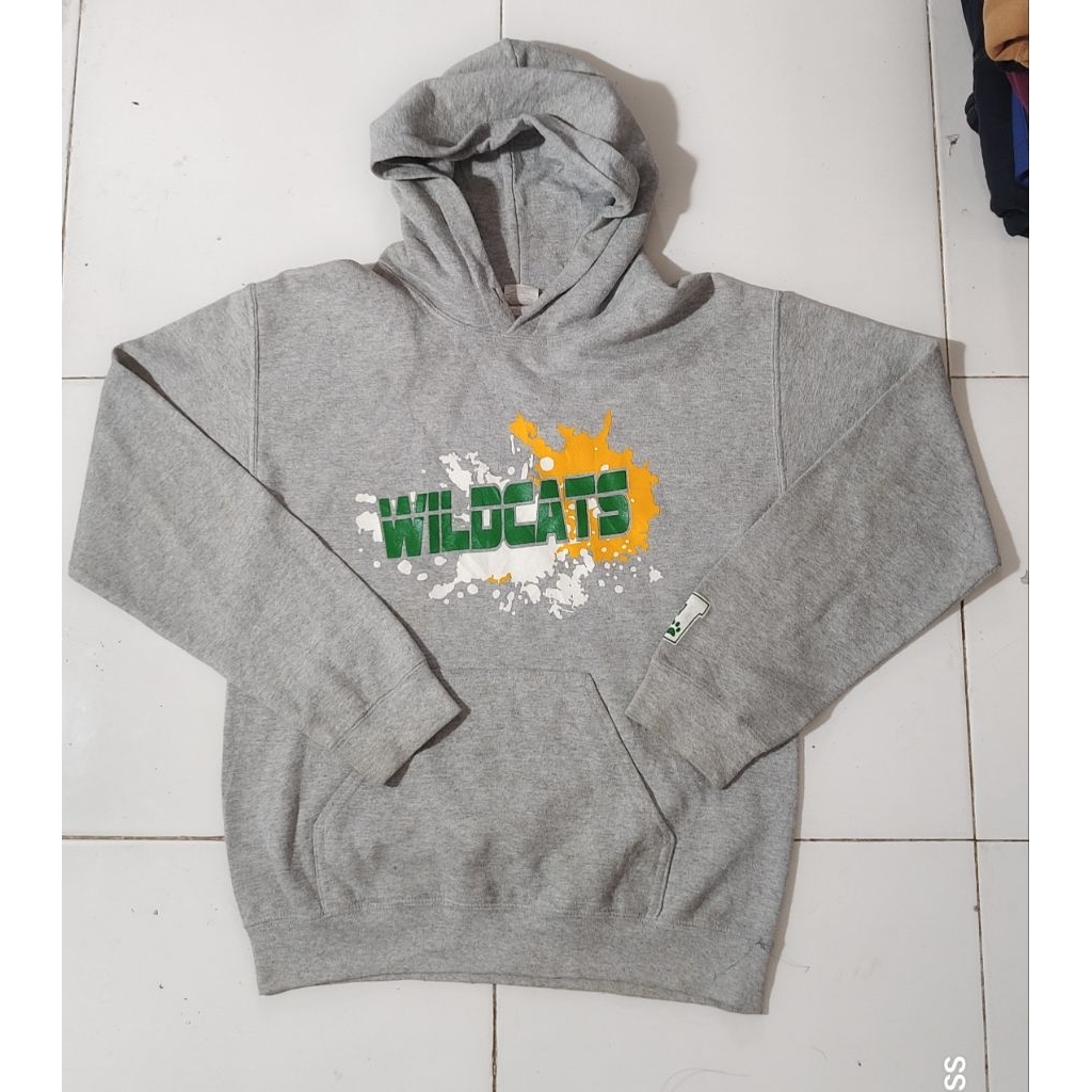 hoodie gildan