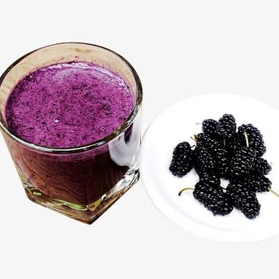 GROSIR TERMURAH Sari Buah Blackberry 1kg Murbei Puree Pure Frozen