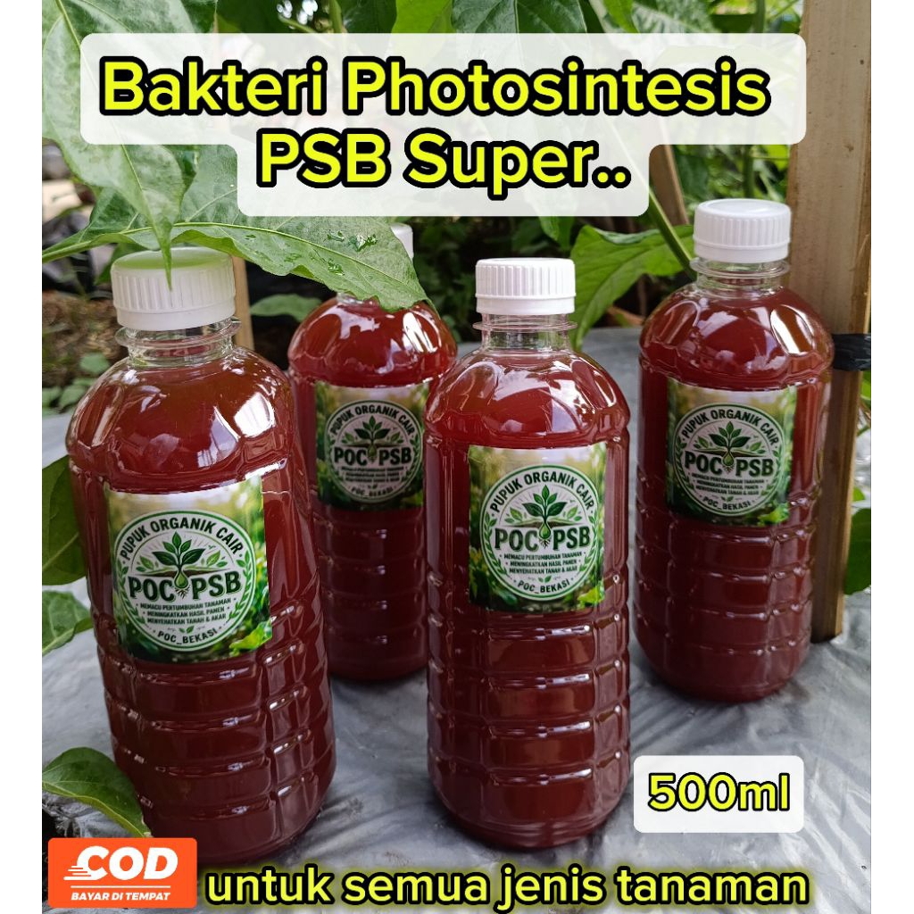 Pupuk Organik Cair PSB 500ml ||Biang PSB || POC PSB bakteri photosintesis