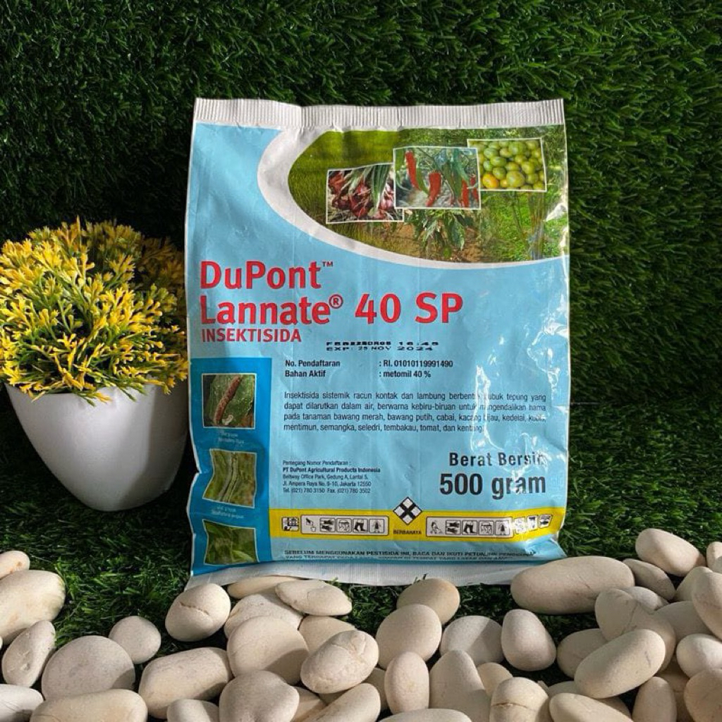 Insektisida Dupont Lannate 40 SP 500 Gram (Lannate Biru besar)