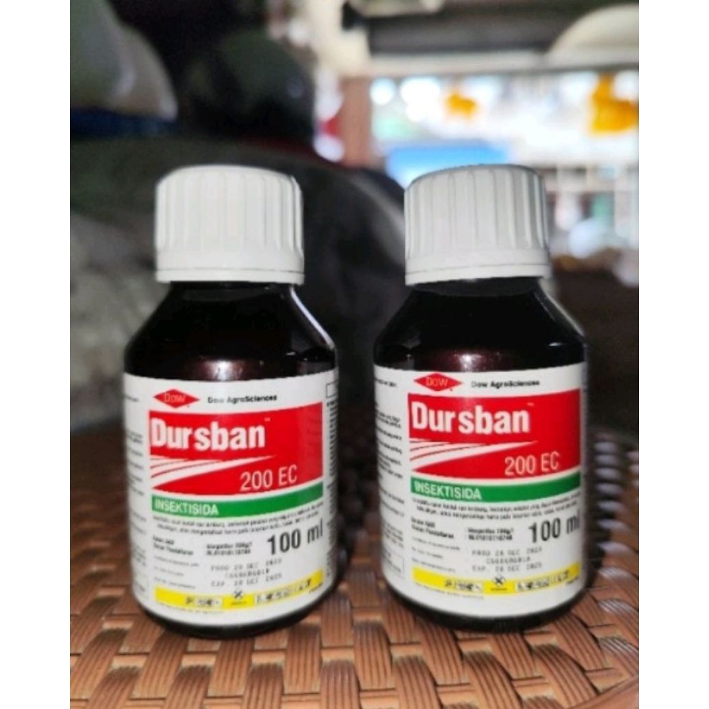 dursban 100ml