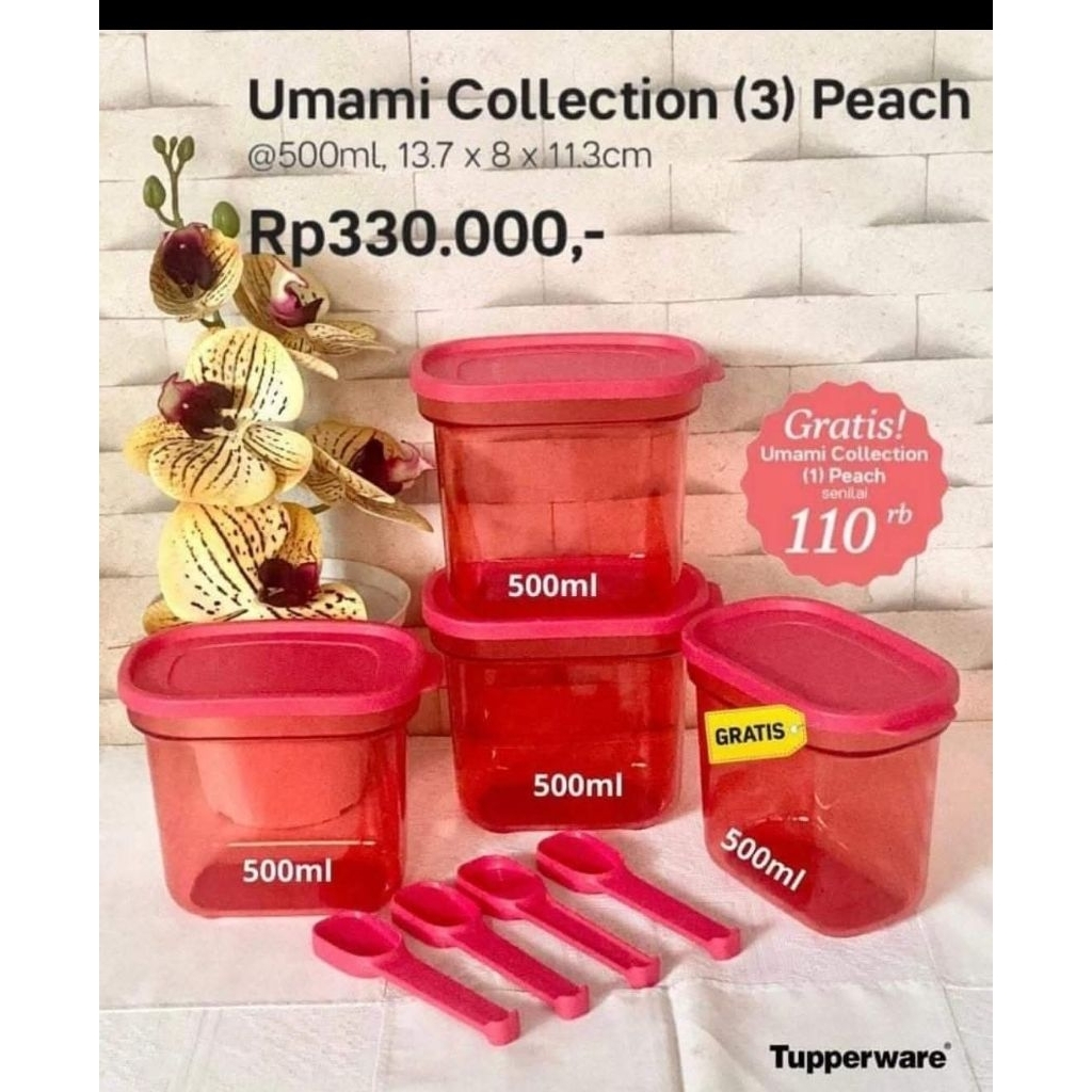 Umami Collection by Tupperware