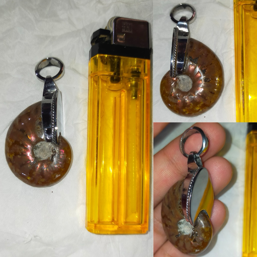 Exclusive pendant liontin rainbow ammonite installed ring monel