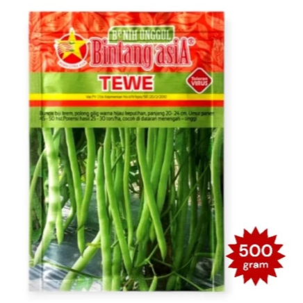 TEWE 500 gram Benih Buncis Bintang Asia Benih Buncis Tewe 100% peacking pabrik