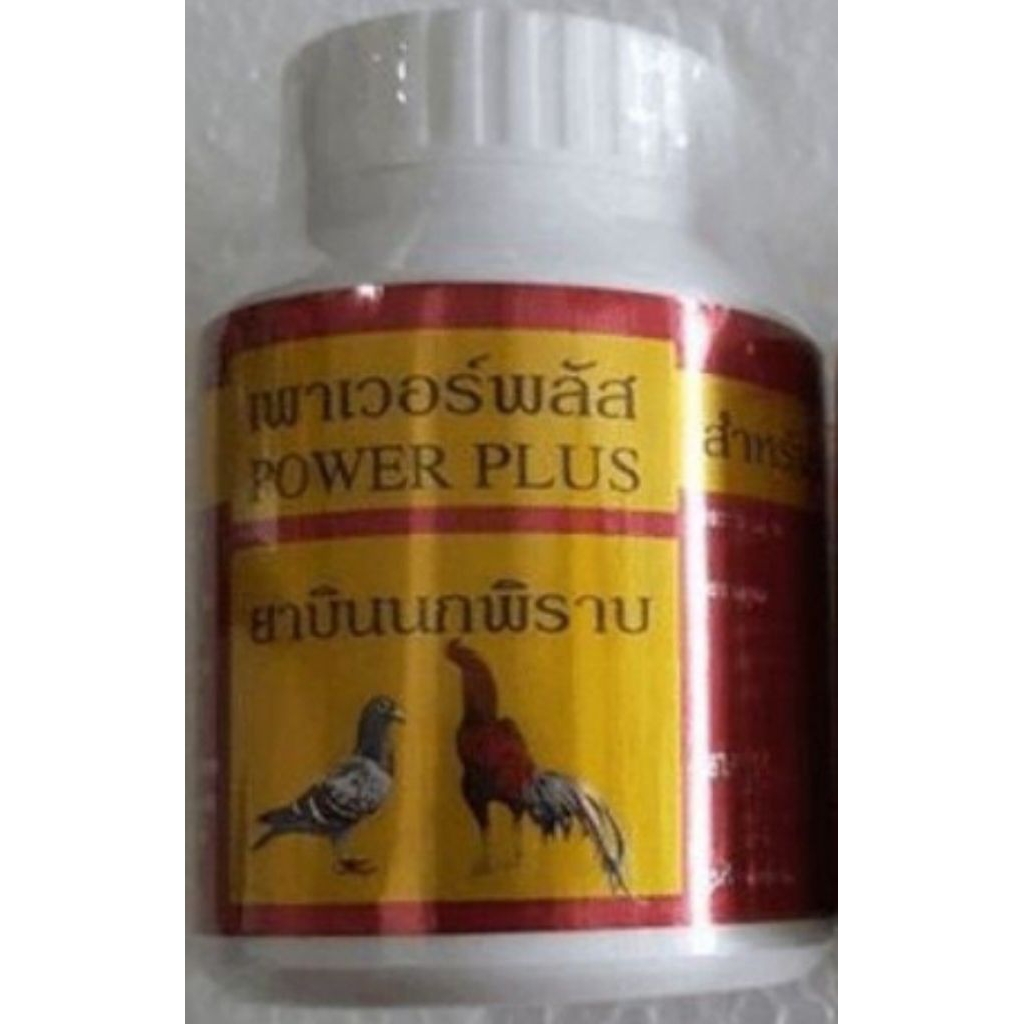 Power plus penambah stamina kekuatan ayam