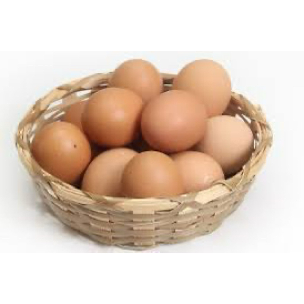 INSTAN PAITON dan SEKITARNYA telur ayam