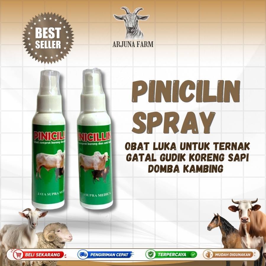 Pinicillin Spray Obat Luka Ampuh untuk Ternak Gatal Gudik Koreng Sapi Domba Kambing Pinicilin