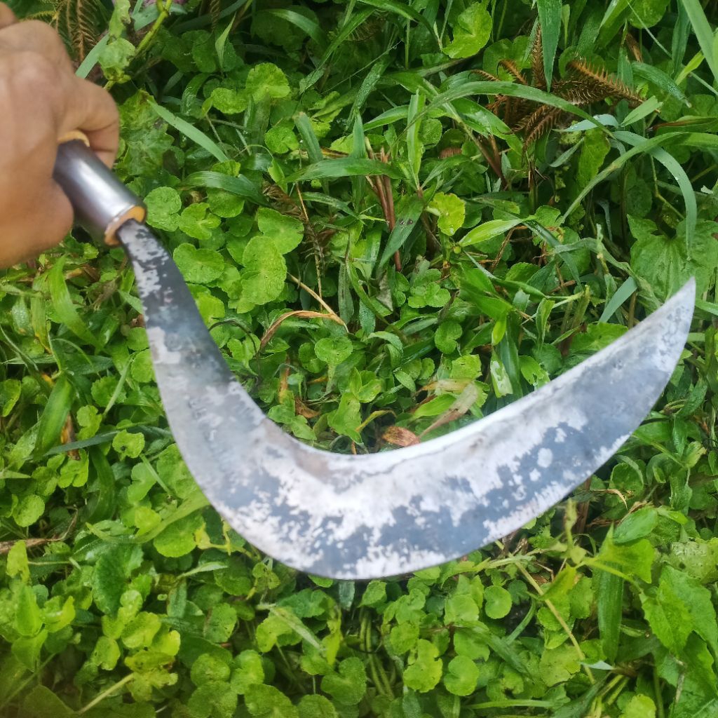 alat tani arit rumput baja isen