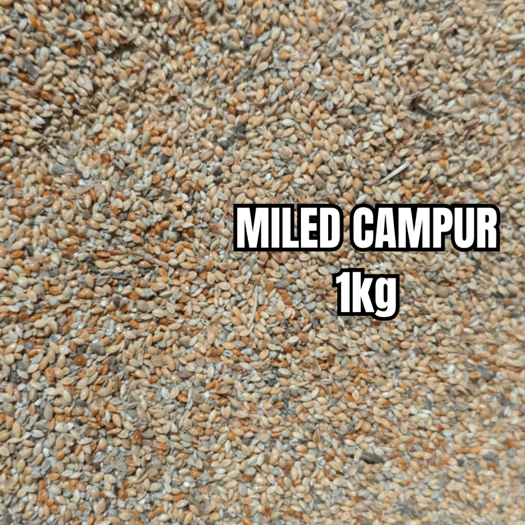 Miled/Milet Campur 1 Kg (PUTIH, KUNING, MERAH)