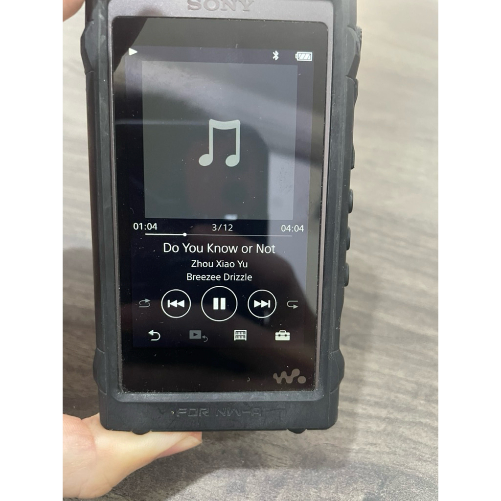 Walkman Sony Nw-a55 Hi res