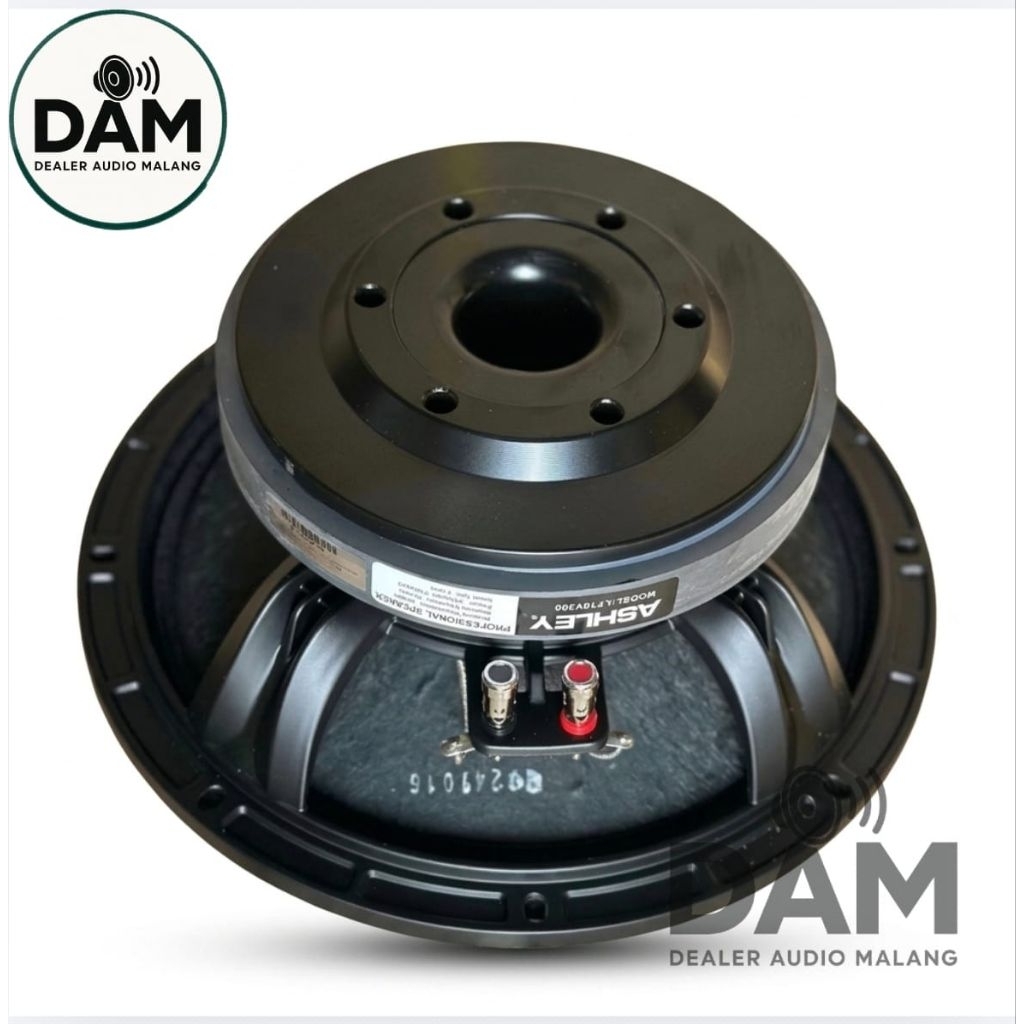 Speaker Ashley LF10V300 10V300 Original 10 Inch Ashley Speaker Ashley 10 V300