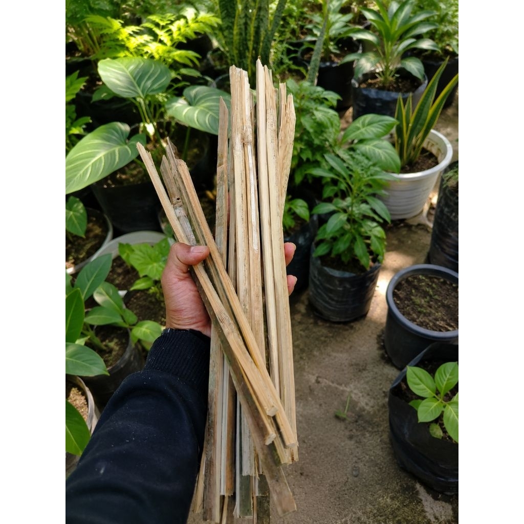 turus anggrek pot 50cm