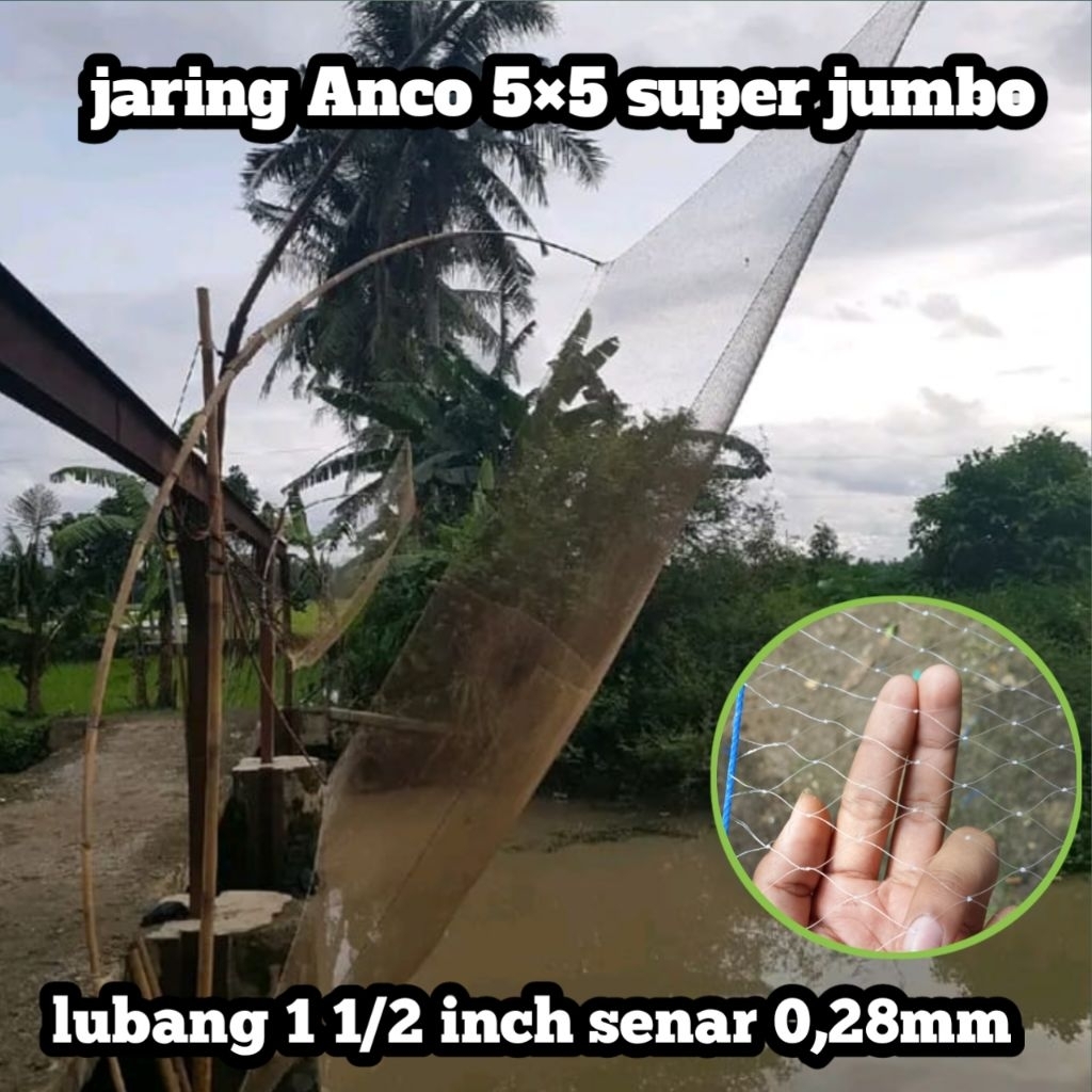 jaring Anco 5 × 5 super jumbo lobang 1 1/2 inch senar 0,28mm tebal dan kuat angkat ikan 5kg ,Branjan
