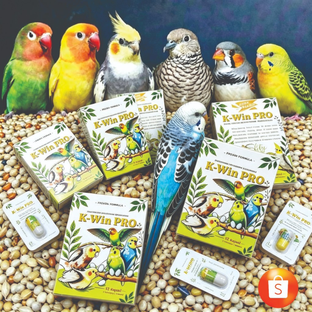 Kawin Pro Vitamin Breeding Falk, Suplemen Mulitivitamin Pembiakan, Kawin Pro, Vitamin Ternak Falk, M