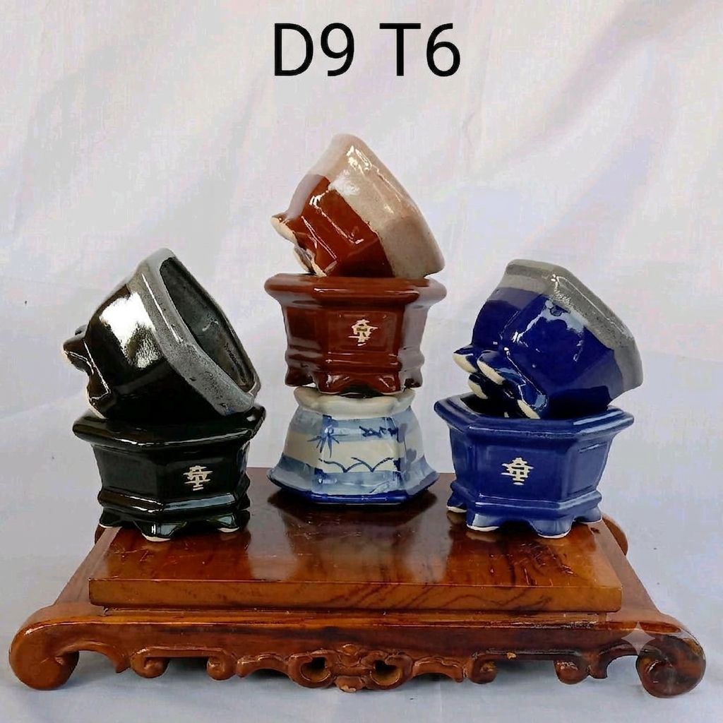 pot segi 6