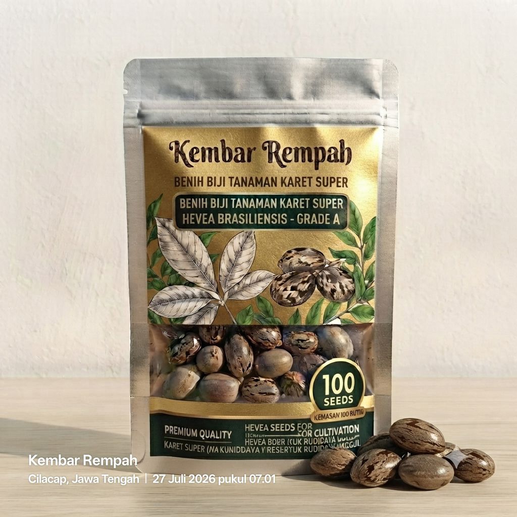 BENIH UNGGUL BIJI KARET KLON PB 260 SUPER KEMASAN 100 BUTIR