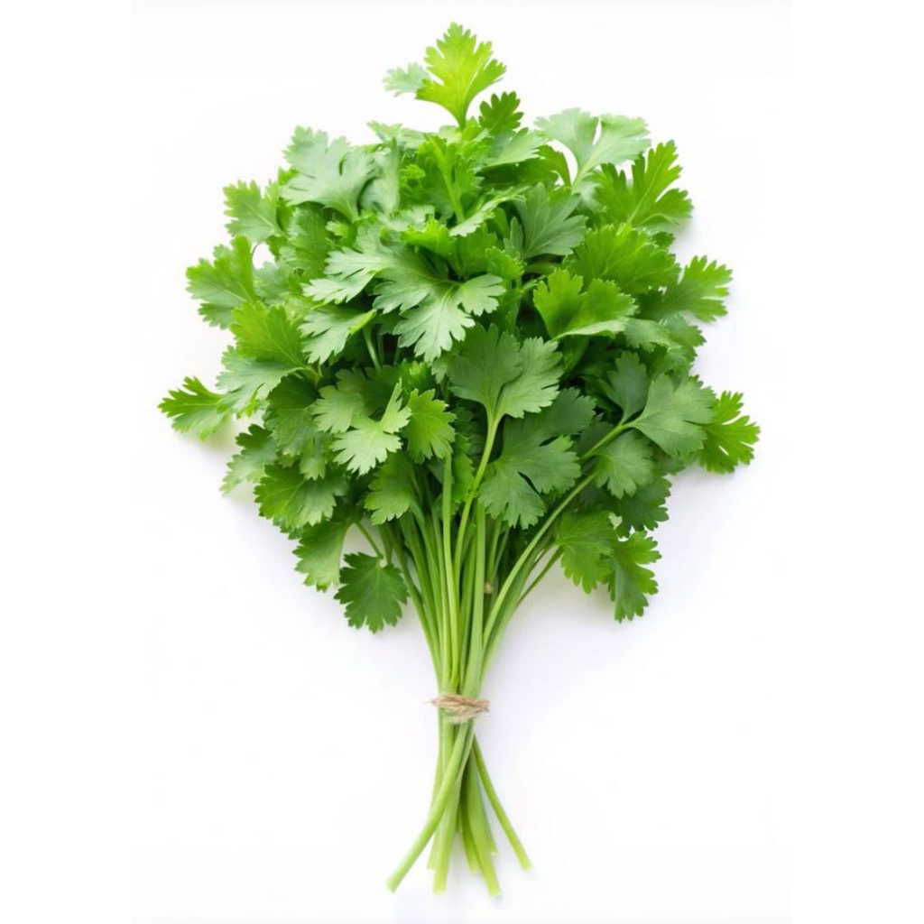 DAUN BAWANG & SELEDRI