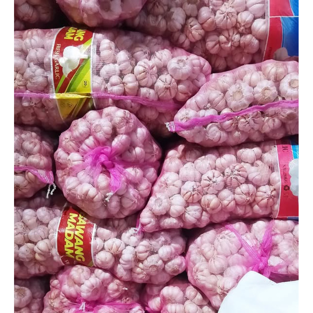 bawang putih honan 1 karung fresh baru panen 20kg