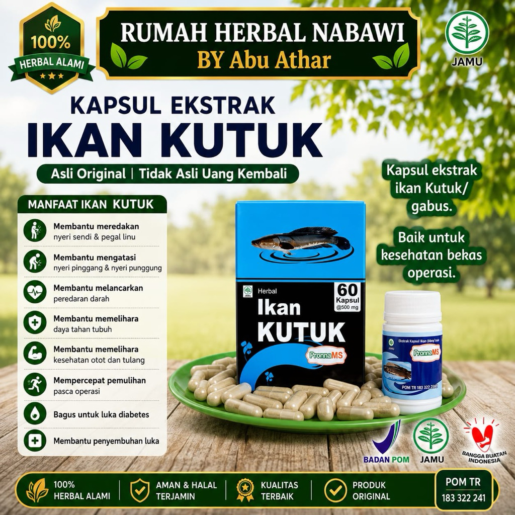 KUTUK KAPSUL| KAPSUL IKAN KUTUK | IKAN GABUS IS KAPSUL |OBAT PASCA OPERASI ASLI 100%