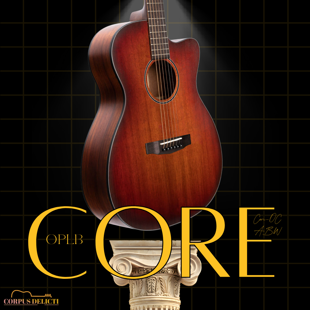 Cort Core-OC ABW OPLB Electric Acoustic Guitar Original All Solid Acoustic Guitar Fishman Sonitone P
