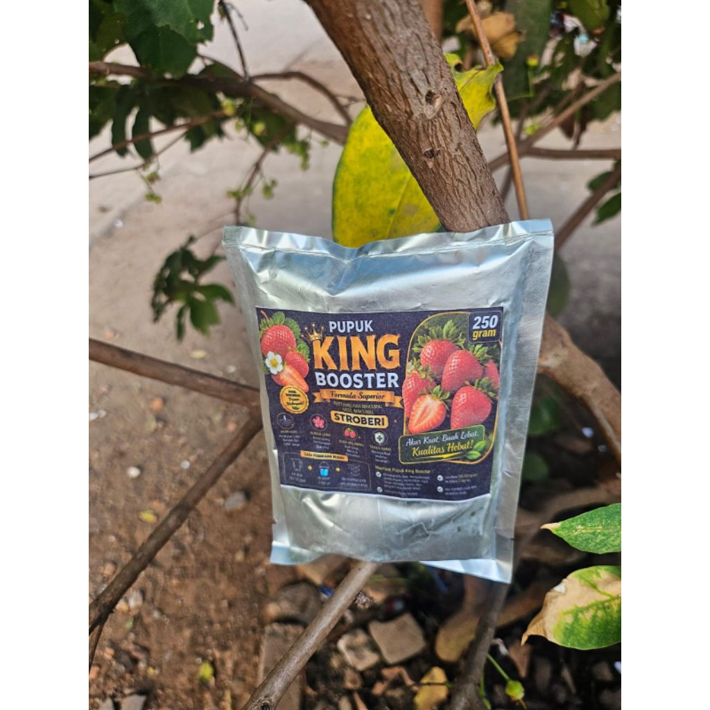 booster pelebat buah strawberry
