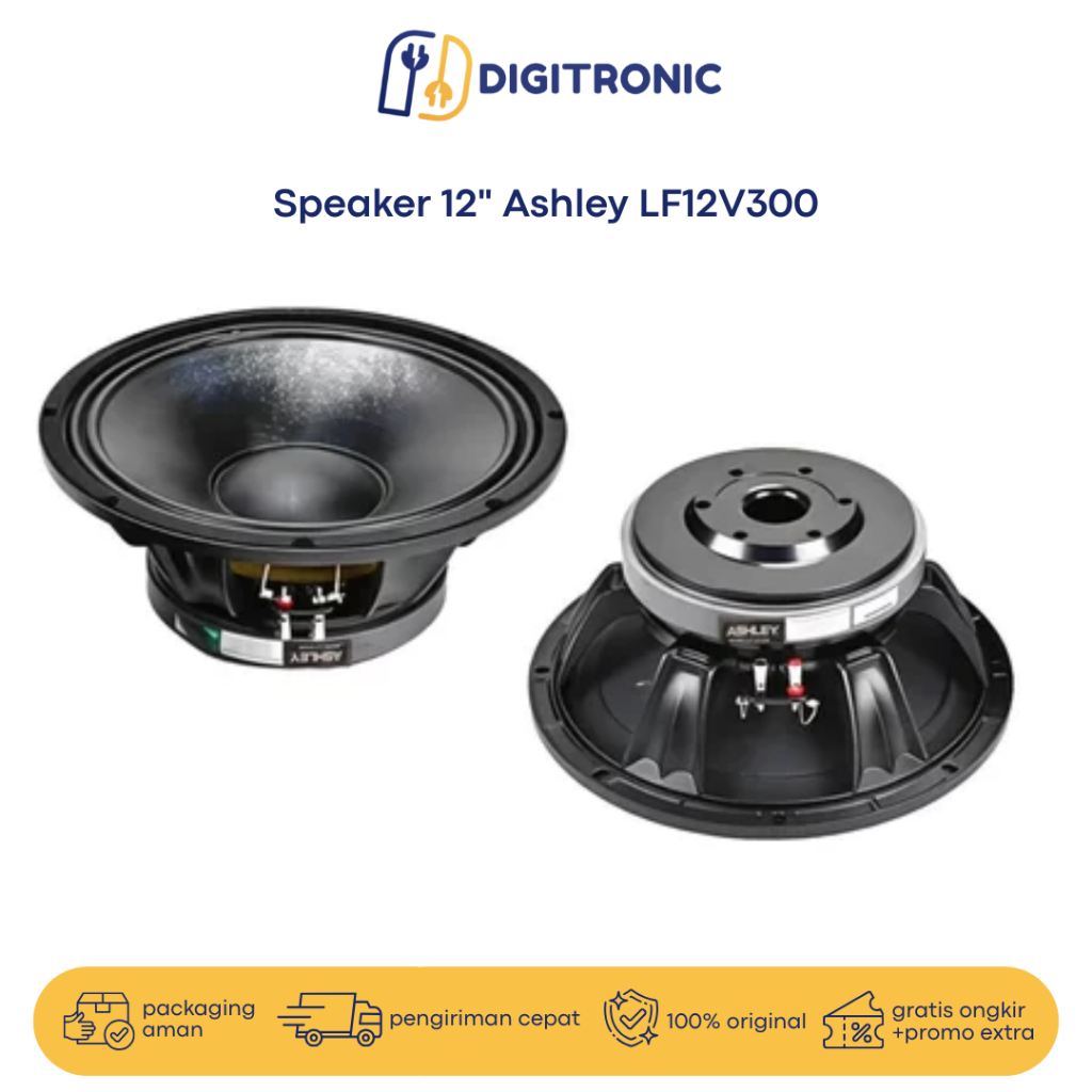 Speaker 12 Inch Ashley LF12V300