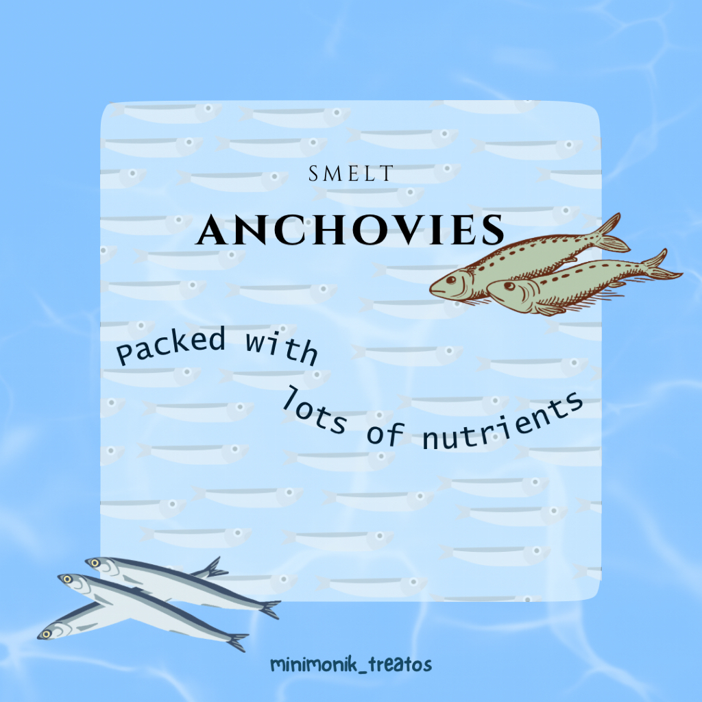 SMELT ANCHOVIES