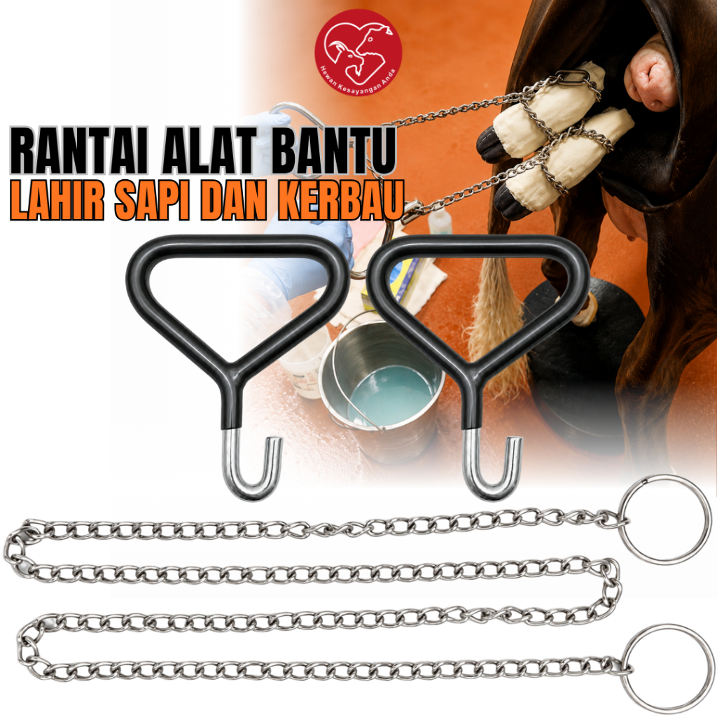 Rantai Alat Lahir Sapi Kerbau Stainless Calving Chain Rantai Alat Menarik Pedet Anak Sapi Kerbau Cal