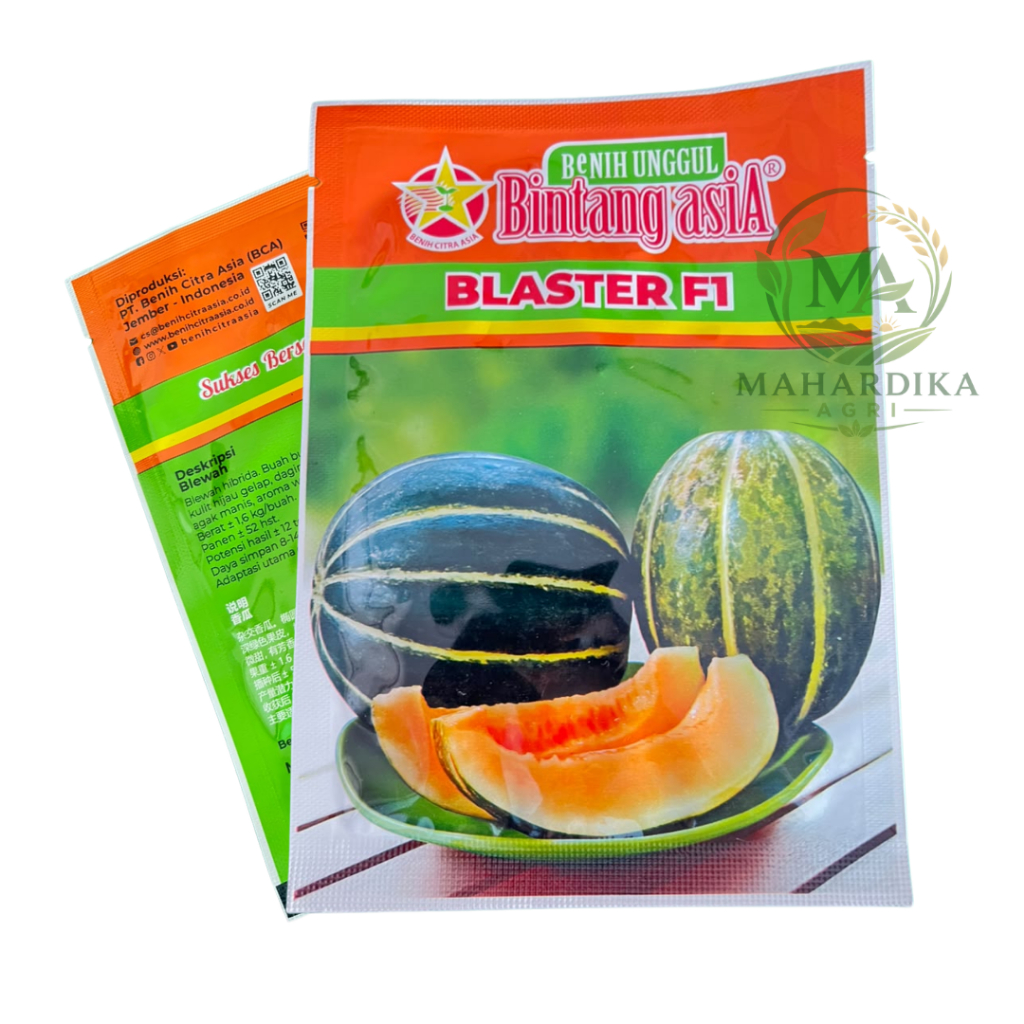 Benih Blewah BLASTER F1 | Bintang Asia | Bibit Blewah Hibrida Dataran Rendah