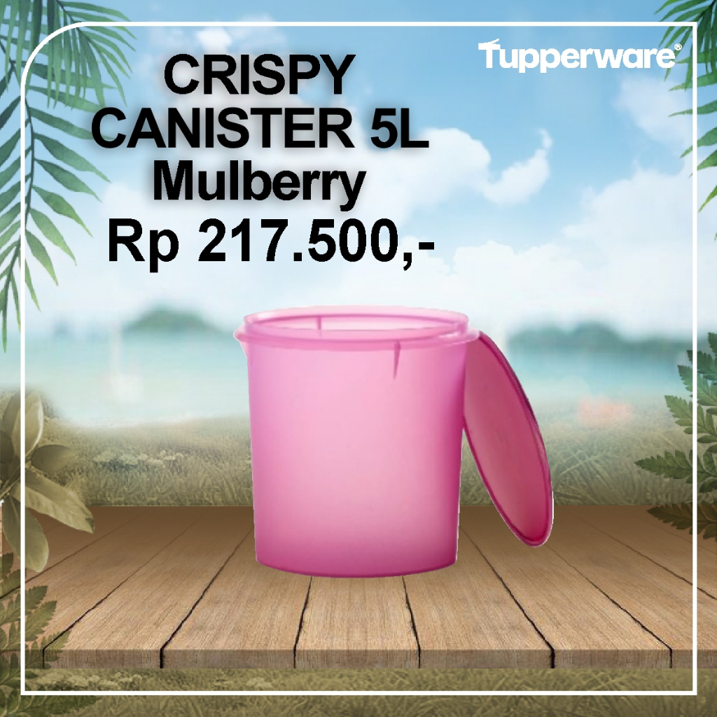 Tupperware Crispy Canister warna Mulberry 5L