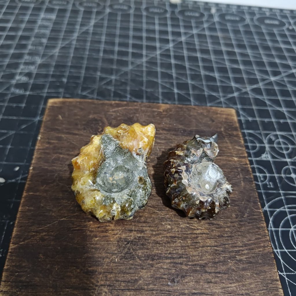 Batu Natural Horn Ammonite Keong Fossil  (4) Asli Batu Alam