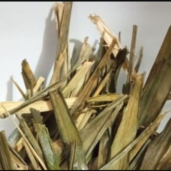 25 Gram Daun Suji Kering  / Daun Suji Kering Herbal 100% Organik